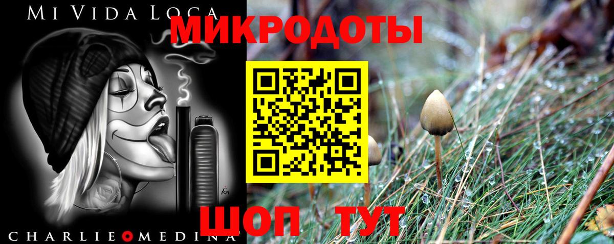 Псилоцибиновые грибы Psilocybe  Вход с VPN  Кохма  Галлюциногенные грибы Cubensis 